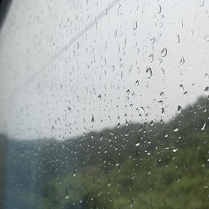 捷克街头钞能力在线视频
