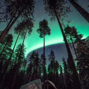 捷克街头钞能力在线视频
